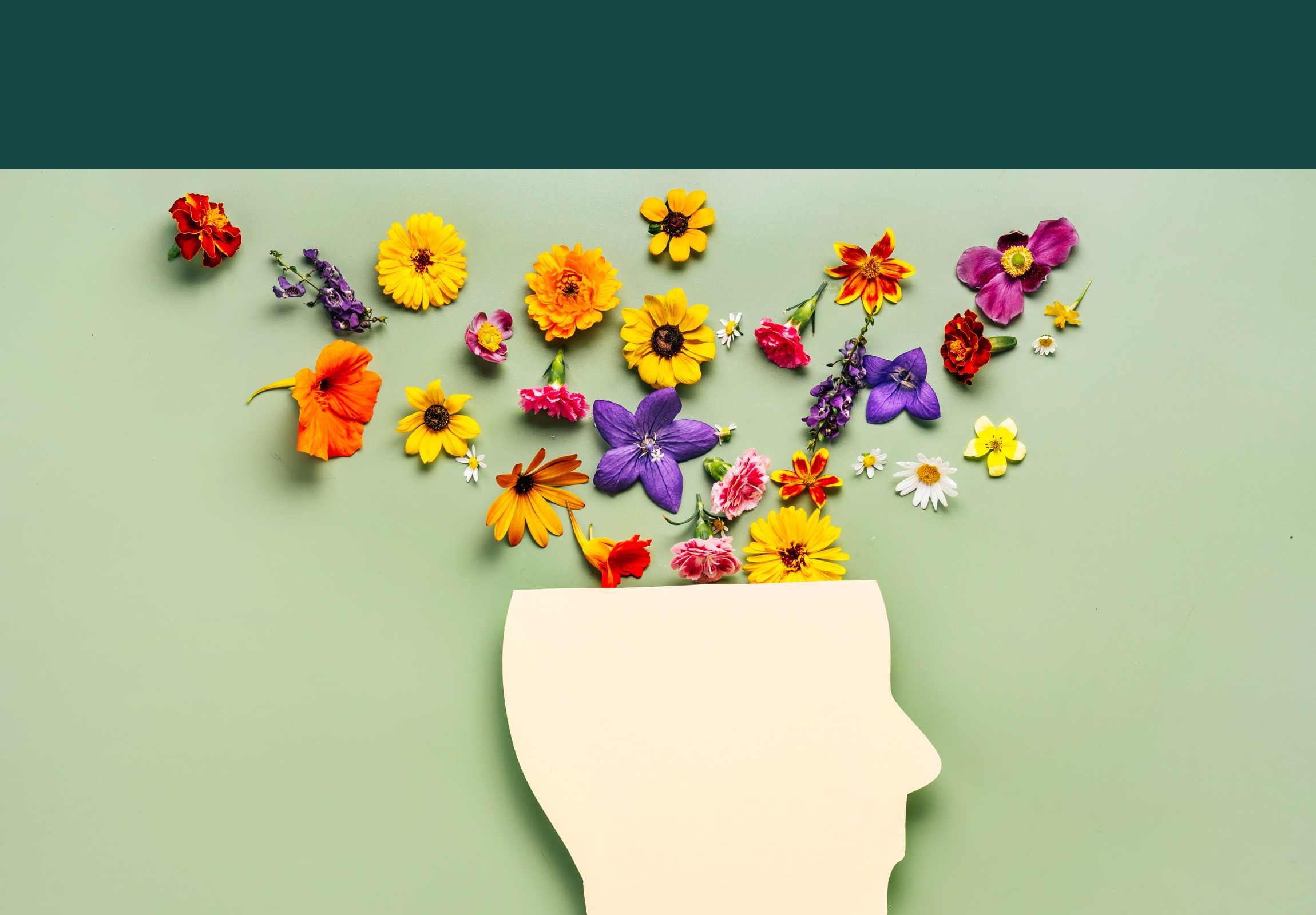 Sans titre (2300 x 1600 px)